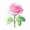 ringletrose